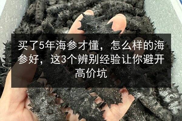 买了5年海参才懂，怎么样的海参好，这3个辨别经验让你避开高价坑