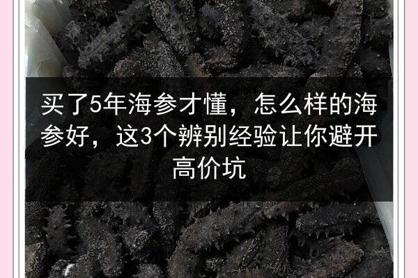 买了5年海参才懂，怎么样的海参好，这3个辨别经验让你避开高价坑