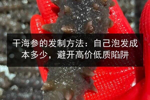 干海参的发制方法:自己泡发成本多少,避开高价低质陷阱