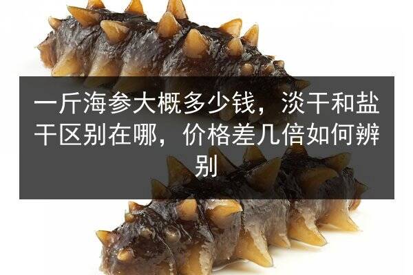 一斤海参大概多少钱，淡干和盐干区别在哪，价格差几倍如何辨别