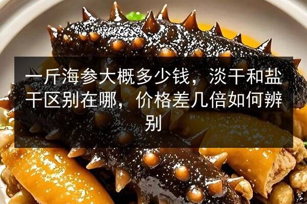 一斤海参大概多少钱，淡干和盐干区别在哪，价格差几倍如何辨别