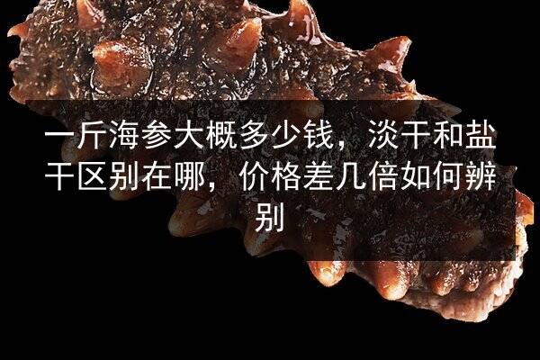 一斤海参大概多少钱，淡干和盐干区别在哪，价格差几倍如何辨别
