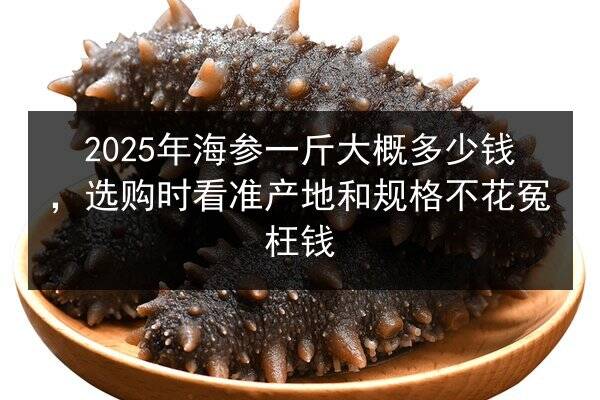2025年海参一斤大概多少钱,选购时看准产地和规格不花冤枉钱