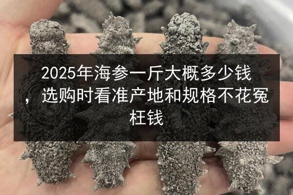 2025年海参一斤大概多少钱,选购时看准产地和规格不花冤枉钱
