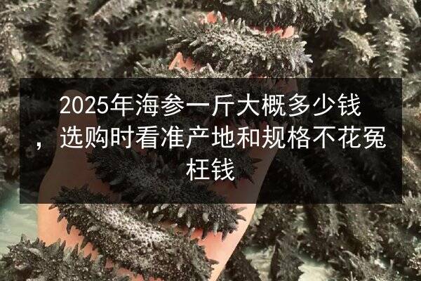 2025年海参一斤大概多少钱,选购时看准产地和规格不花冤枉钱