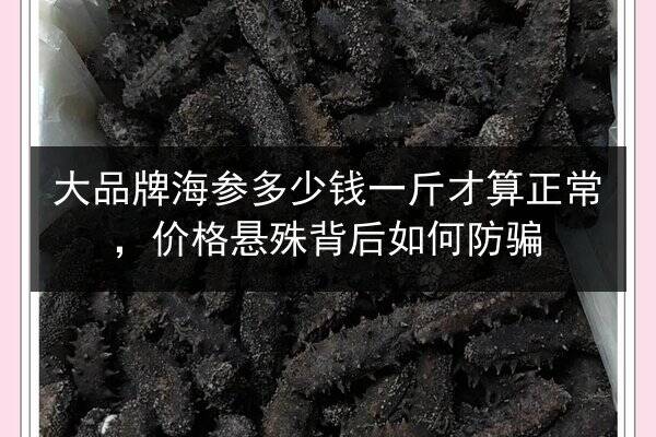 大品牌海参多少钱一斤才算正常，价格悬殊背后如何防骗