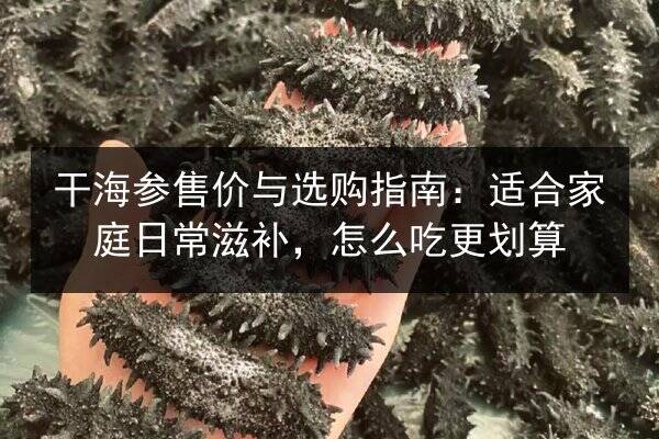干海参售价与选购指南:适合家庭日常滋补,怎么吃更划算