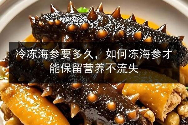 冷冻海参要多久，如何冻海参才能保留营养不流失