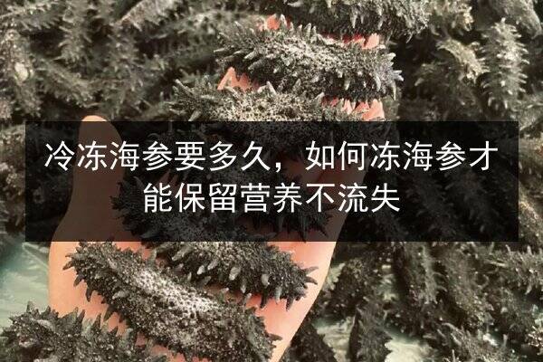 冷冻海参要多久，如何冻海参才能保留营养不流失