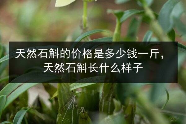 炒海参做法多次失败后,才懂火候和去腥这2个关键教训