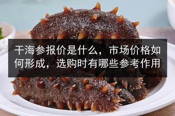 干海参报价是什么，市场价格如何形成，选购时有哪些参考作用