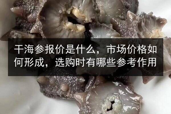 干海参报价是什么，市场价格如何形成，选购时有哪些参考作用