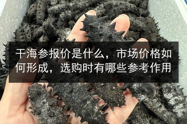 干海参报价是什么，市场价格如何形成，选购时有哪些参考作用