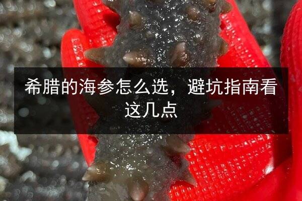 希腊的海参怎么选，避坑指南看这几点