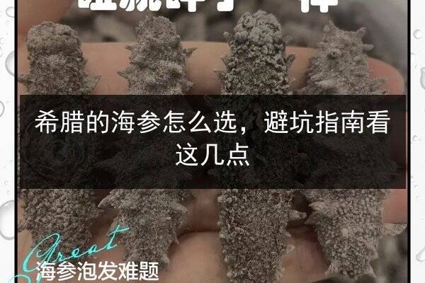 希腊的海参怎么选，避坑指南看这几点
