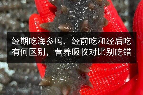 经期吃海参吗,经前吃和经后吃有何区别,营养吸收对比别吃错