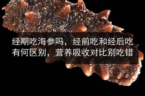 经期吃海参吗,经前吃和经后吃有何区别,营养吸收对比别吃错