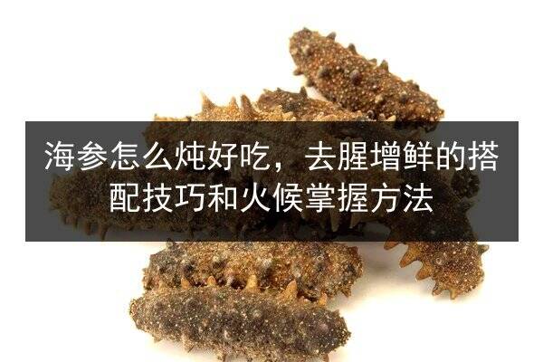 海参怎么炖好吃,去腥增鲜的搭配技巧和火候掌握方法