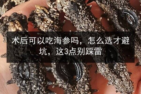 术后可以吃海参吗,怎么选才避坑,这3点别踩雷