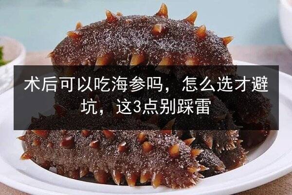 术后可以吃海参吗,怎么选才避坑,这3点别踩雷