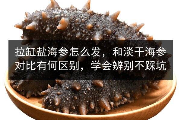 拉缸盐海参怎么发,和淡干海参对比有何区别,学会辨别不踩坑