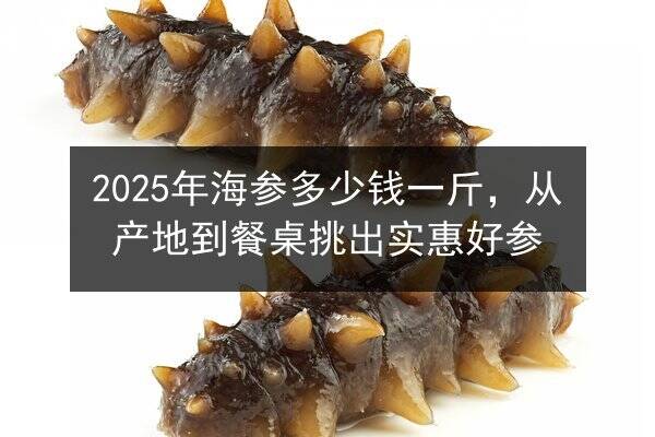 2025年海参多少钱一斤,从产地到餐桌挑出实惠好参