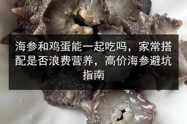 海参和鸡蛋能一起吃吗,家常搭配是否浪费营养,高价海参避坑指南