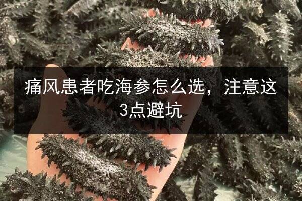 痛风患者吃海参怎么选,注意这3点避坑