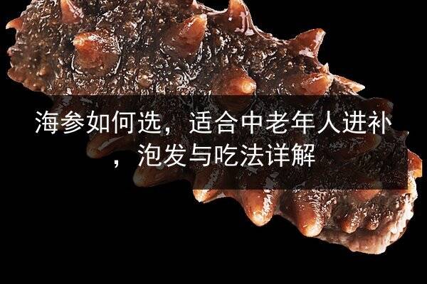 海参如何选,适合中老年人进补,泡发与吃法详解