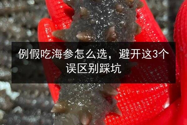 例假吃海参怎么选,避开这3个误区别踩坑
