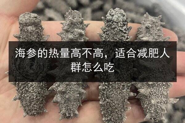 海参的热量高不高,适合减肥人群怎么吃