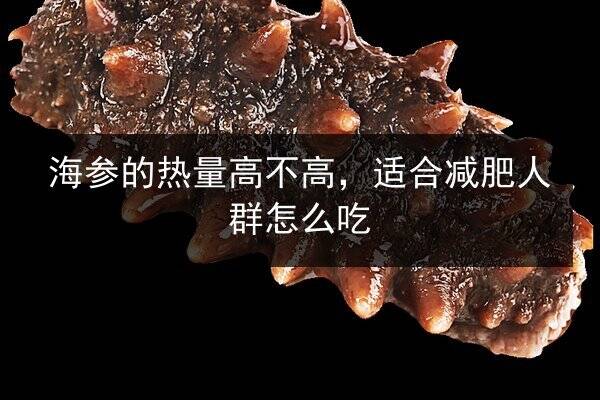 海参的热量高不高,适合减肥人群怎么吃