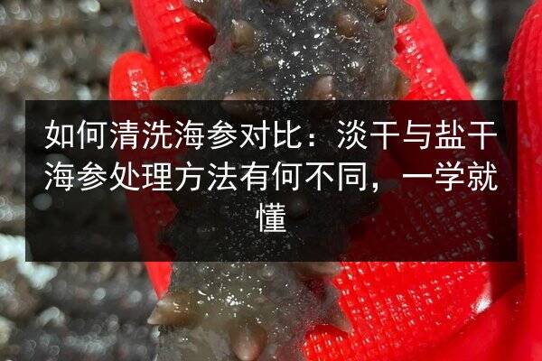 如何清洗海参对比:淡干与盐干海参处理方法有何不同,一学就懂