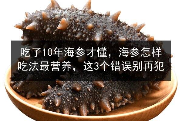 吃了10年海参才懂,海参怎样吃法最营养,这3个错误别再犯