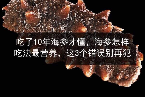 吃了10年海参才懂,海参怎样吃法最营养,这3个错误别再犯
