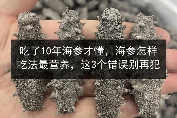 吃了10年海参才懂,海参怎样吃法最营养,这3个错误别再犯