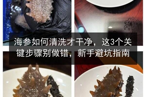 海参如何清洗才干净,这3个关键步骤别做错,新手避坑指南