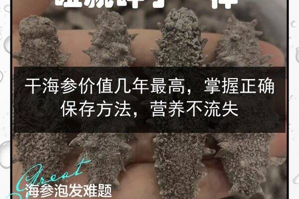 干海参价值几年最高，掌握正确保存方法，营养不流失
