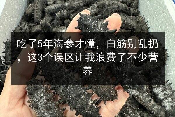 吃了5年海参才懂，白筋别乱扔，这3个误区让我浪费了不少营养