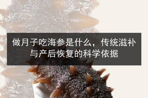 做月子吃海参是什么,传统滋补与产后恢复的科学依据