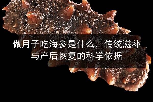 做月子吃海参是什么,传统滋补与产后恢复的科学依据