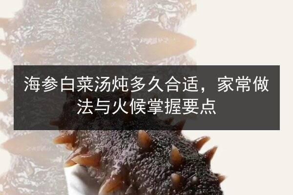 海参白菜汤炖多久合适,家常做法与火候掌握要点
