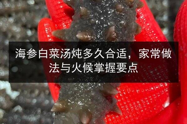 海参白菜汤炖多久合适,家常做法与火候掌握要点
