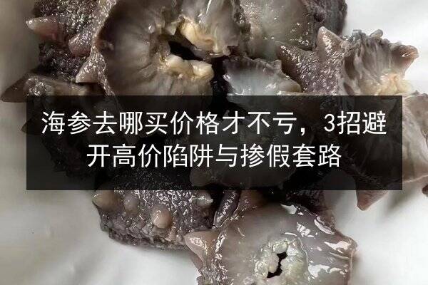 海参去哪买价格才不亏,3招避开高价陷阱与掺假套路