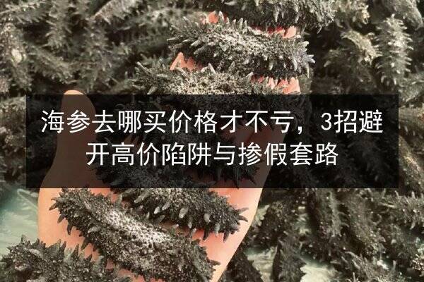 海参去哪买价格才不亏,3招避开高价陷阱与掺假套路