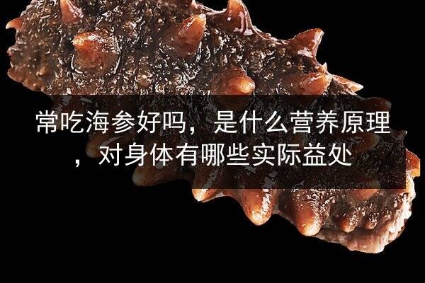 常吃海参好吗,是什么营养原理,对身体有哪些实际益处