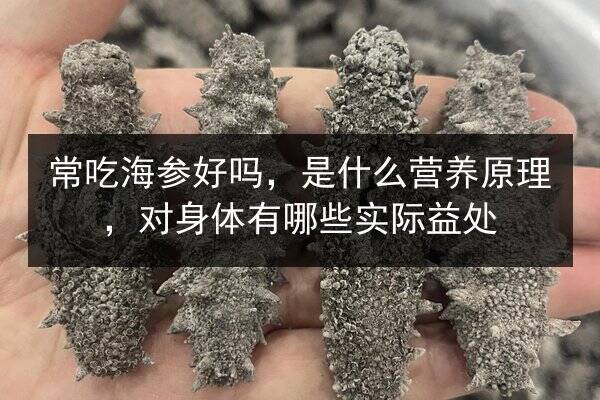 常吃海参好吗,是什么营养原理,对身体有哪些实际益处
