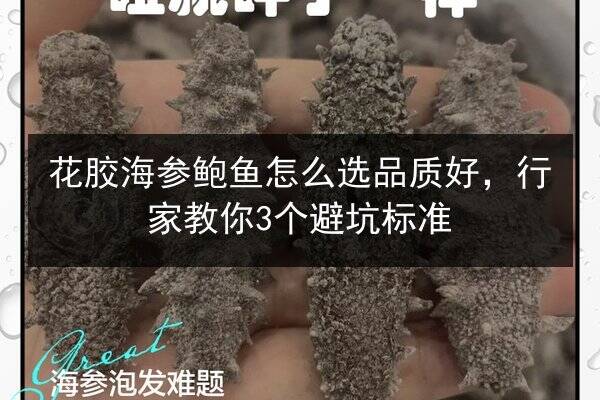 花胶海参鲍鱼怎么选品质好，行家教你3个避坑标准