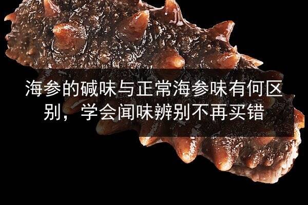 海参的碱味与正常海参味有何区别,学会闻味辨别不再买错