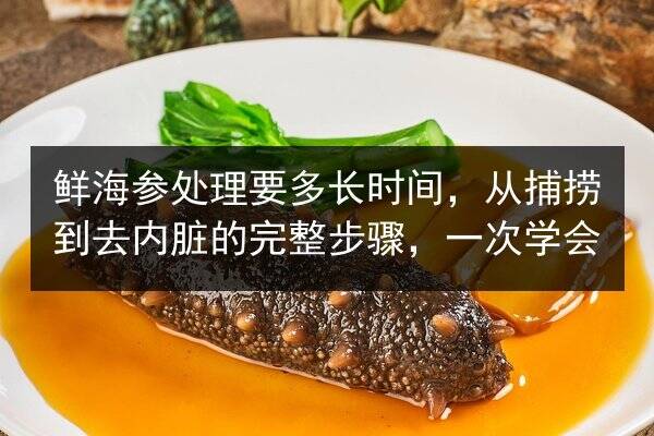 鲜海参处理要多长时间,从捕捞到去内脏的完整步骤,一次学会